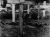 Archie-Burns-Leiper-France-grave-marker