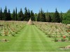 Dorian-Military-Cemetery-Greece